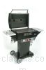 Grill image for model: Tradition LS (BH421-AG-3)